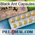 Black Ant Capsules 41